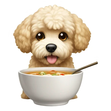 maltipoo eating miso soup sticker