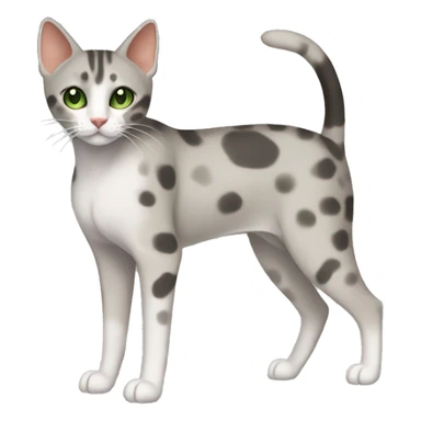 Short-haired oriental cat ,full body , grey coat with spots , green eyes , terracotta nuzzle sticker