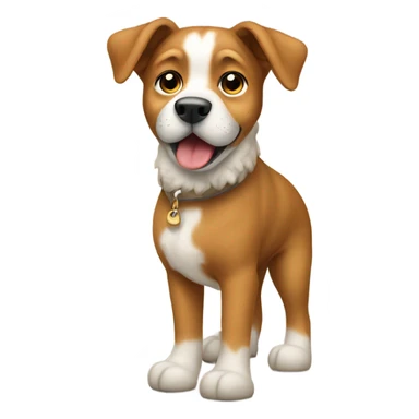 Dog wearing Tazz Uggs sticker