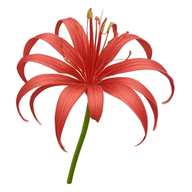 Red spider lily sticker