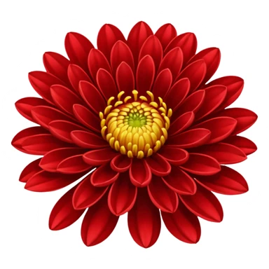 chrysanthemum flower full red sticker