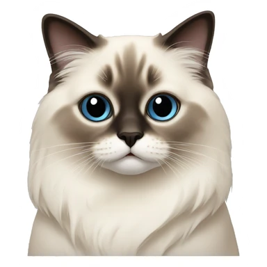 Birman cat sticker