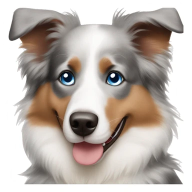 australian shepard with blue eyes sticker
