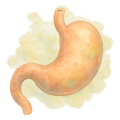 ghibli style soft and whimsical empty stomach sticker