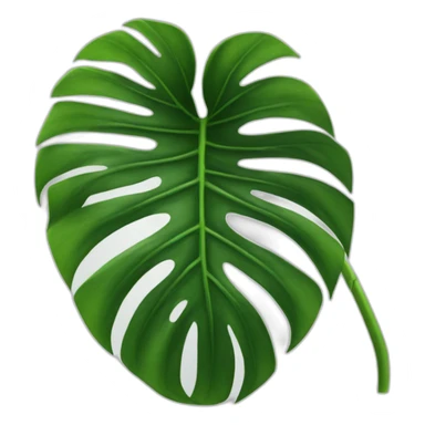 monstera plant leaf sticker