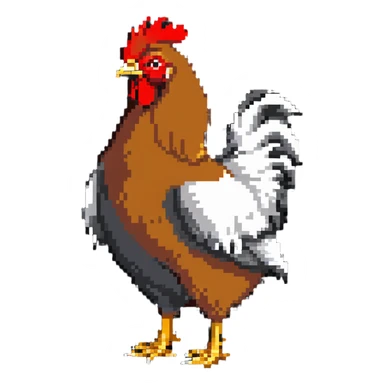 hen, female chicken sticker