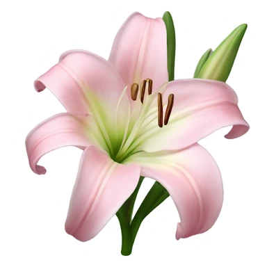 light pink lilium sticker