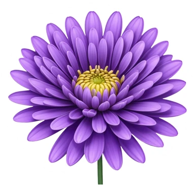 single Lavender Chrysanthemum, straight stem sticker