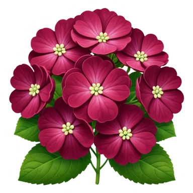 Hortensia bordeaux  sticker