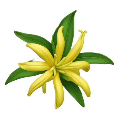 ylang ylang flower sticker