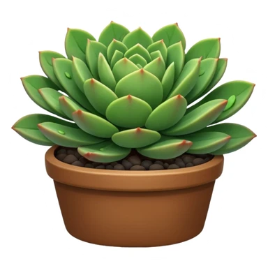 plant with small succulent like leaves sticker