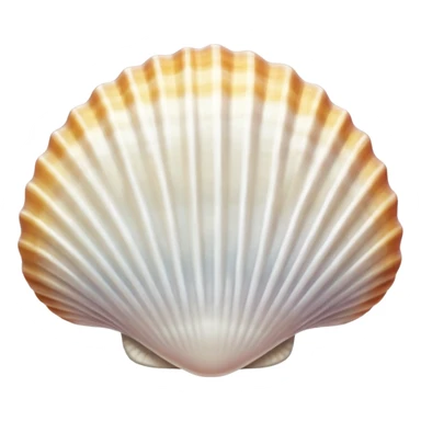 white seashell clam sticker