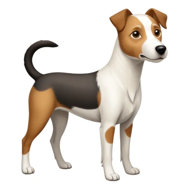 a full body large white parson russell looking dog the size of a kelpie with light brown ears and a light brown patch on one eye and a large snout sticker