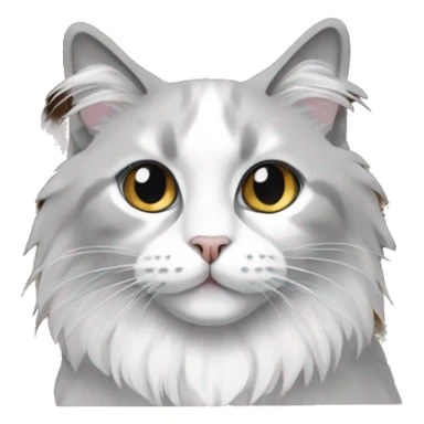 A White and Grey Ragdoll Cat in a paper box sticker