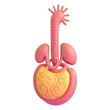stomach, medical illustration sticker