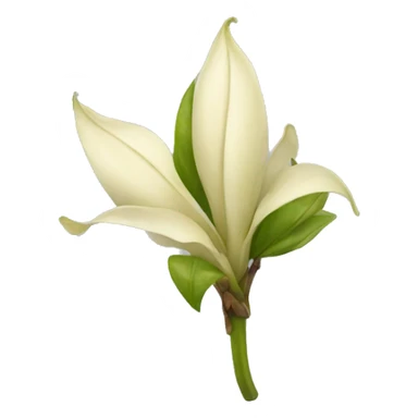 vanilla flower pod sticker