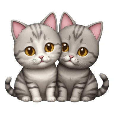 british short-hair cat kissing sticker