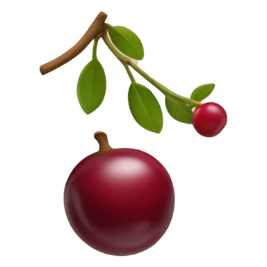 ok gesture hand holding a cranberry sticker