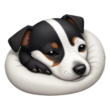 Sleeping black jack russell sticker