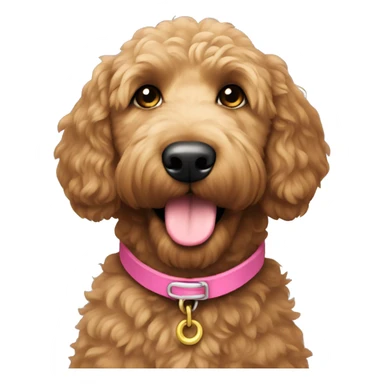 Golden doodle dark brown with pink collar sticker