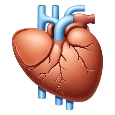 liver forming urea sticker