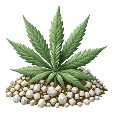 white color marijuana, no color sticker
