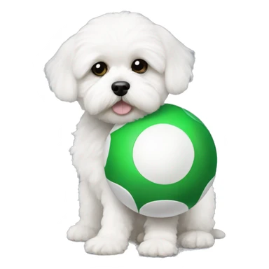 Little white Shihpoo holding a green ball sticker