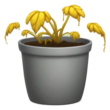 yellow dead sick plant in a pot sticker