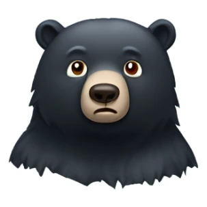 black bear who’s cold and shivering  sticker