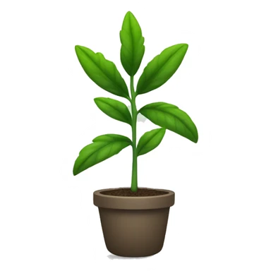  a plant with a thin, slightly hairy green stem. The leaves are oval, pointed, slightly serrated, and dark green in color. They are arranged in opposite pairs along the stem. sticker