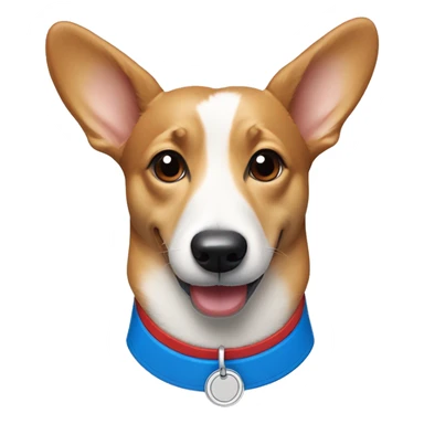 Wiener dog/corgi face tan and white, with red collar and blue dog tag sticker
