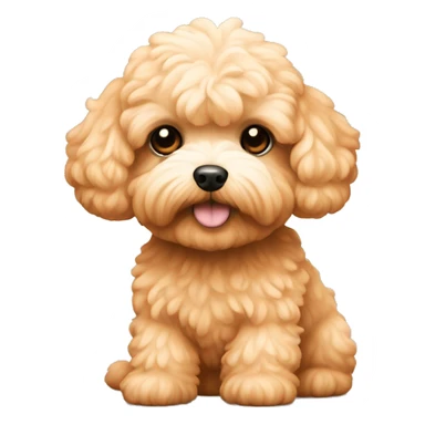 Maltipoo dog. Apricot colour. iPhone iOS style  sticker