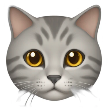 British Short hair cat sticker
