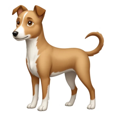 a full body large white parson russell looking dog the size of a kelpie with light brown flapped down ears and a light brown patch on one eye and a large snout sticker