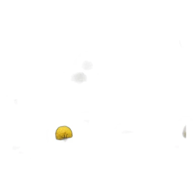 city black and yellow sticker