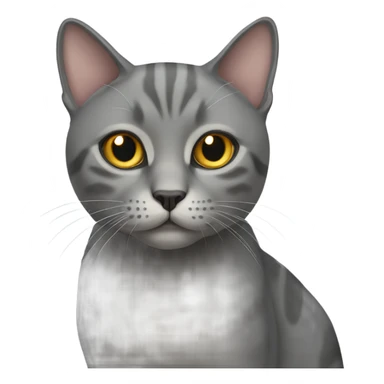 gray cat mexican  sticker