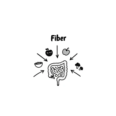 Hand-drawn doodle showing various fiber-rich foods like oats, beans, apples, berries, and broccoli with arrows pointing to a healthy intestine, with text showing 'Fiber' sticker