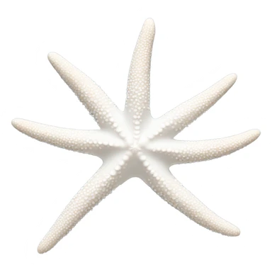 White starfish  sticker