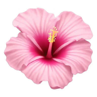 Hibiscus flower light pink sticker