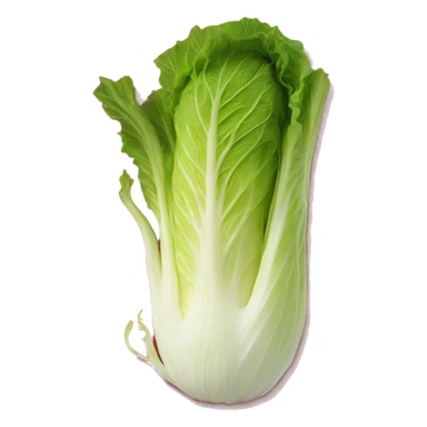 A napa cabbage marinated in a bright red pepper paste sticker