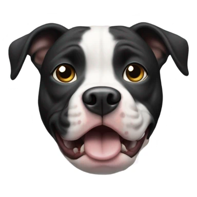 Scared black and whit pit bull  sticker