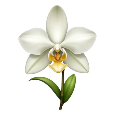 single white Dendrobium Orchid sticker