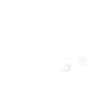 abeille kawai sticker