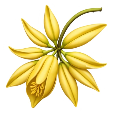 ylang ylang flower little closed sticker