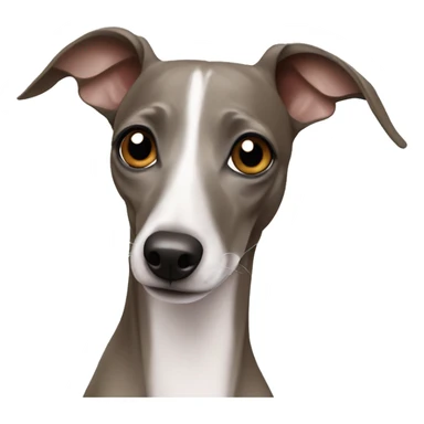 Italian greyhound sticker