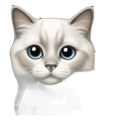 White birman cat sticker