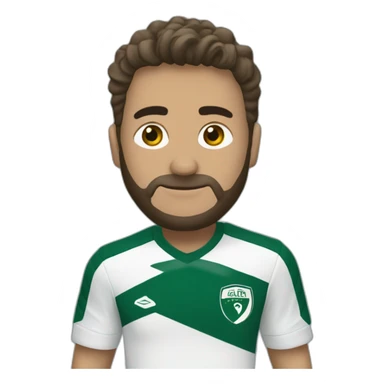 copa libertadores palmeiras sticker