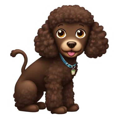 Brown poodle with a chimpaneeze sticker