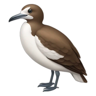 brown and white sea bird sticker