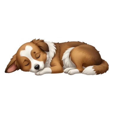 собака породи ауссі спить sticker